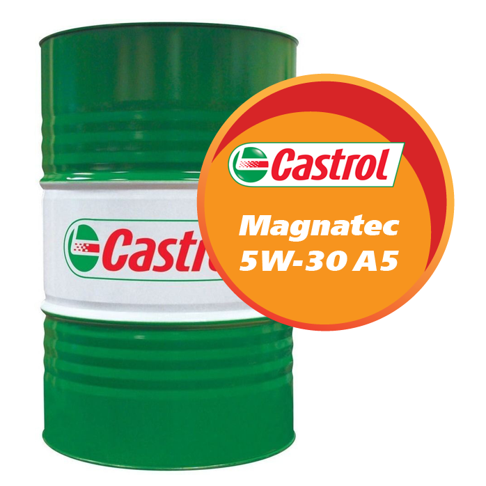 Castrol Magnatec 5W-30 A5 (208 литров)
